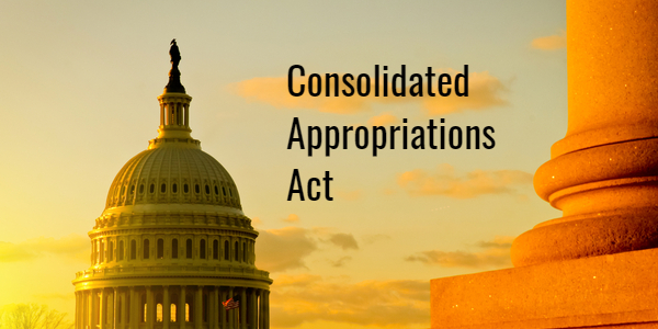 Consolidated Appropriations Act, 2021 (“CAA”)